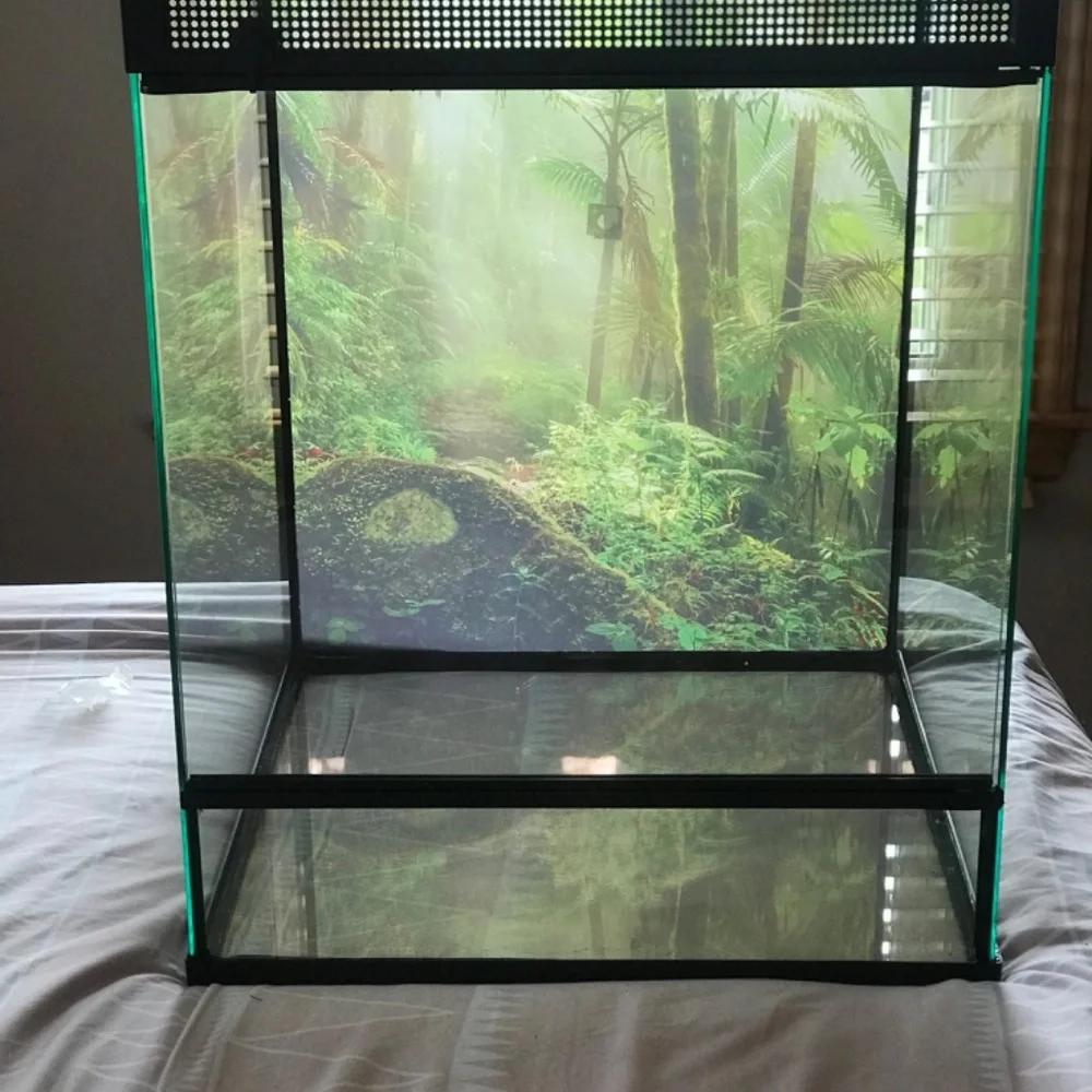 Cage for reptiles